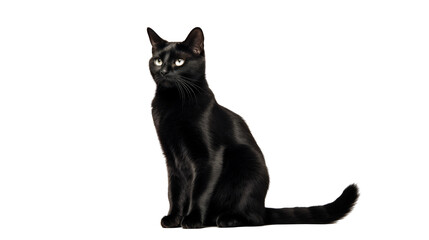 A black cat with piercing green eyes sits against a black background.  The cat's fur is sleek and glossy.  The image is perfect for a variety of projects.