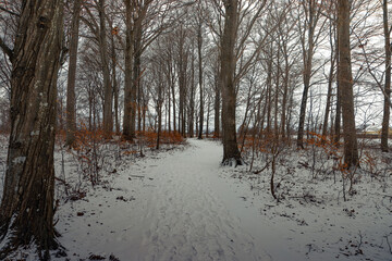 Winter in Ödåkra 2024.