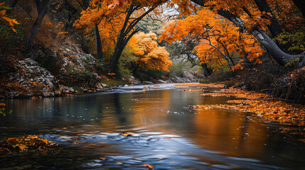Fototapeta premium A river with a lot of leaves floating on it
