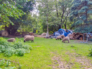 Fototapete bei efototapeten.de bestellen   