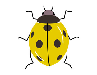 Yellow ladybug with black spots. Cute insect cartoon illustration isolated on white background. Design for greeting card, invitation, and poster. 