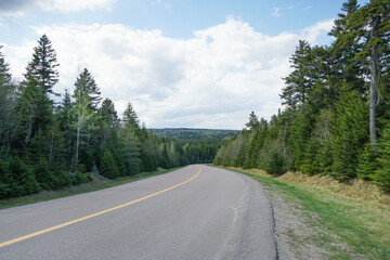 Country road in spring