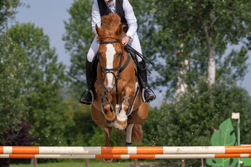 Obraz premium Show jumping competition on horseback. Horse Jumping, Equestrian Sports, Show Jumping themed photo. 