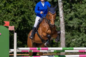 Show jumping competition on horseback. Horse Jumping, Equestrian Sports, Show Jumping themed photo.
