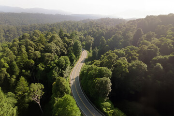 Winding country road through scenic green forest and rolling hills, aerial view.