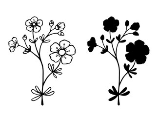 Linear sketch, silhouette of wildflowers, simple meadow grasses. Vector graphics.