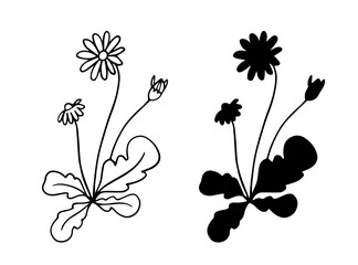 Linear sketch, silhouette of wildflowers, simple meadow grasses. Vector graphics.