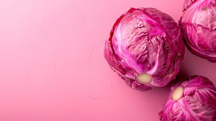  A group of red cabbages against a pink background Two white spots are present, one in the middle of the cabbages and the other in the center of the image