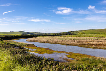Wetland in the Cuckmere Valley on a sunny spring evening