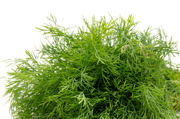 Dill isolated on a white background.