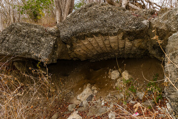 Overgrown remains of a tunnel leading towards a Japanese World War 2 machine gun emplacement on Gili Trawangan, Indonesia