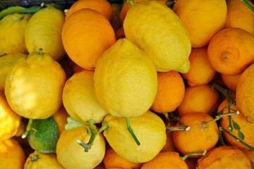 View of fresh Amalfi lemons on the Amalfi Coast in Italy