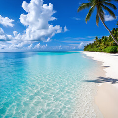 Fototapeta premium A tranquil tropical beach scene with palm trees, white sand beaches, and crystal clear turquoise water shining on the sky