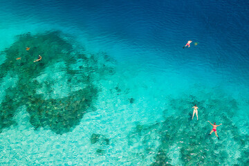 Aerial of snorkelers swimming over a shallow coral reef with Sea Turtles in a warm ocean