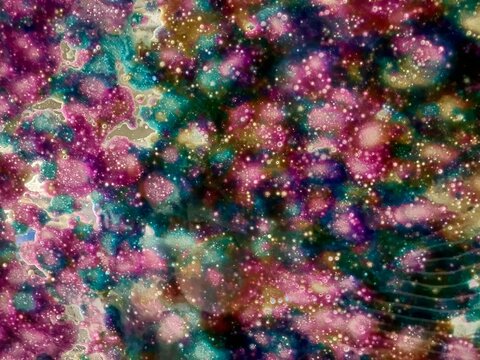 Colorful Rainbow Foam