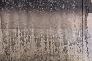 Because of its self-inflammation capacity, water can hydrolyze other molecules 2.