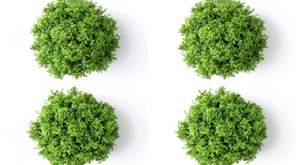 Obraz premium Top View of Four Green Bushes, Generative AI