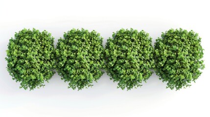 Obraz premium Top View of Green Shrubs - Generative AI