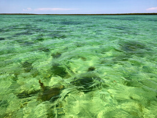 Fototapeta premium Clear waters of Biscayne National Park, Florida on clear sunny summer afternoon.