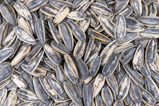 Semillas de pipas de girasol sin pelar en primer plano, nutritivas y saludables
