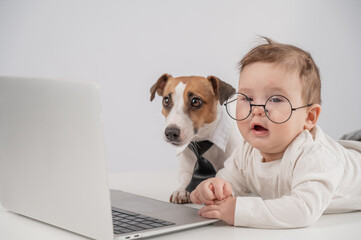 Cute baby boy and Jack Russell terrier dog working on a laptop. 