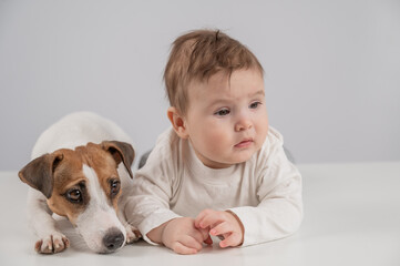 Cute baby boy and Jack Russell terrier dog lying in an embrace on a white background. 