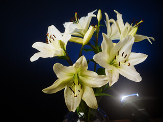 A vase of white lily flowers on dark background. The flowers are in full bloom. The vase is clear...