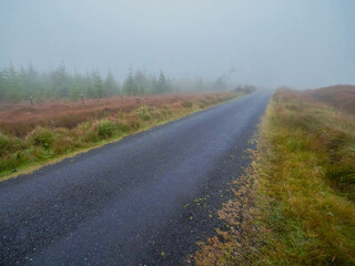 A small country foggy road with trees in the background. Dangerous driving conditions. Rural area in Ireland. Nature scene with mist. Nobody.