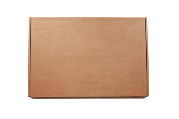 Brown cardboard box for packaging, isolated on a spruce background, as a chalon. Concept of packaging, shipping, postal services.