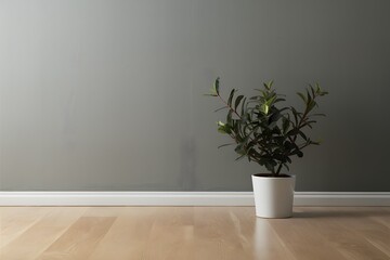 Minimalist gray wall with potted plant pops against light wood floor, exuding modern elegance