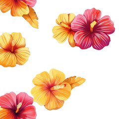 Hibiscus flower isolated on transparent background