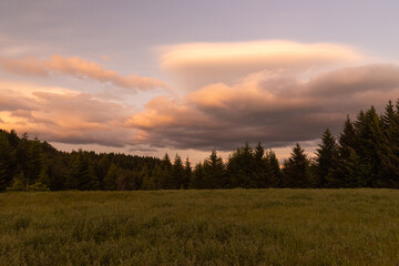 Dramatic clouds at sunset over grassy field and trees in the foothills of the Columbia Gorge, Washington