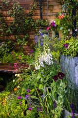 Garden scene with a variety of blooming flowers in different colors, including white foxgloves, pink and purple blossoms, and greenery, against a wooden fence backdrop. Some flowers appear to be wet f