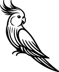 Fototapeta premium Cockatiel Bird