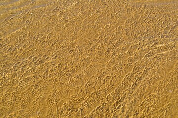 abstract transparent waves on sand beach background. transparent calm waves on the beach with sunlight reflection for summer background. relaxation concept background