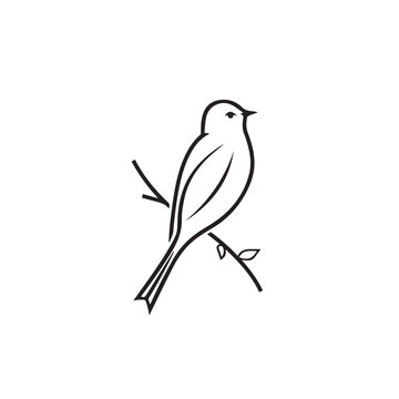 recommend clip art: Cuckoo in cartoon, doodle style . Image for t-shirt, web, mobile apps and ui. Isolated 2d vector illustration in logo, icon, sketch style, Eps 10, black and white. AI Generative