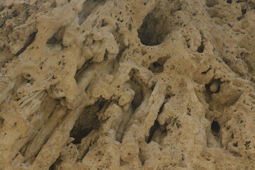 SENDERO CASCADA DEL INFIERNO. LOJA