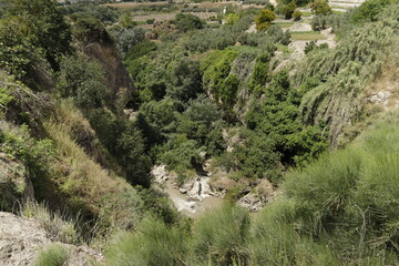 Naklejka premium SENDERO CASCADA DEL INFIERNO. LOJA