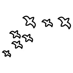 Birds Outline