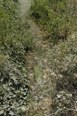 SENDERO CASCADA DEL INFIERNO. LOJA