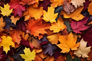 Fototapeta premium autumn leaves background, generative ai
