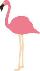 Pink flamingo