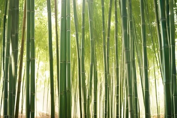 Bamboo forest, sunlight, zen atmosphere, minimalistic design, space for text, Japanese style, nature background, serene vibes, tranquil scene, peace
