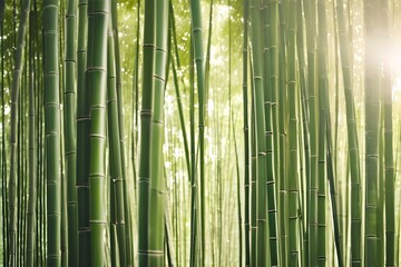 Bamboo forest, sunlight, zen atmosphere, minimalistic design, space for text, Japanese style, nature background, serene vibes, tranquil scene, peace