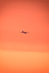 airplane in the sunset