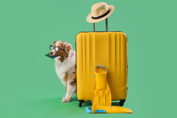 Cute Australian Shepherd dog with passport and suitcase on green background. Travel concept