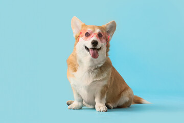 Cute Corgi dog in sunglasses on blue background. Travel concept