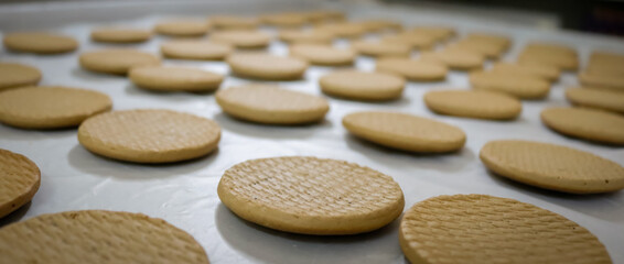 close up of biscuits