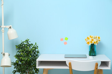 Workplace with bouquet of narcissus flowers and laptop near blue wall in stylish office