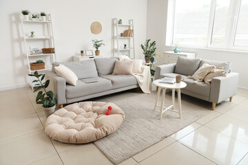 Interior of light living room with grey sofas and pet bed
